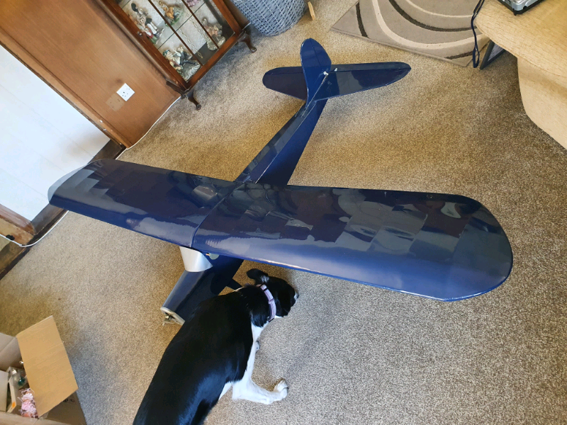 rc plane gumtree